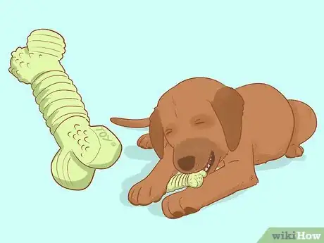 Image titled Stop Your Dog from Chewing Things it Shouldn't Step 6