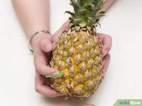 Image titled Buy and Store Fresh Pineapple Step 2