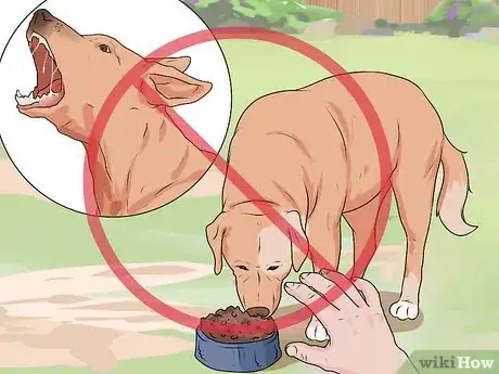 Image titled Handle a Dog Attack Step 14