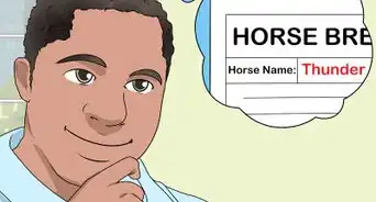 Register a Horse