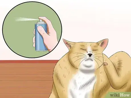 Image titled Stop a Cat from Pulling Its Hair Out Step 2