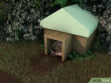 Image titled Make a Home for Your Hedgehog Step 10