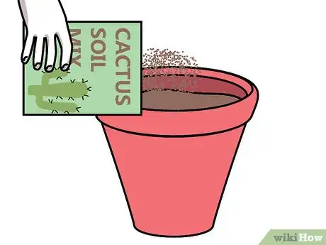 Image titled Care for Succulents Step 2