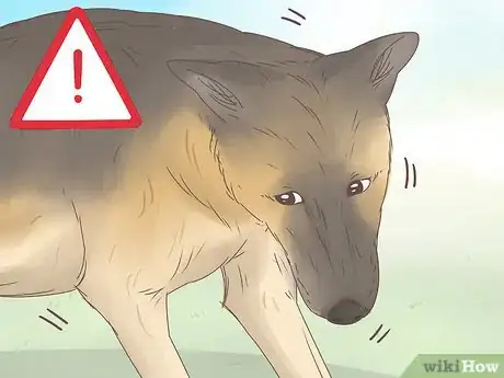 Image titled Understand Your Dog's Body Language Step 10