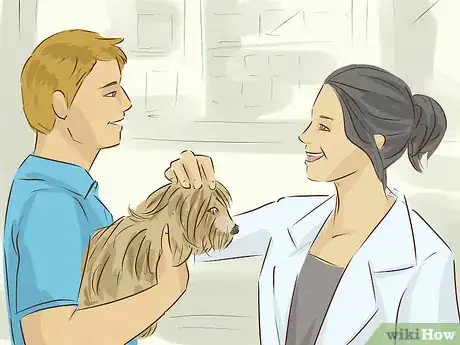 Image titled Become a Veterinarian Step 13