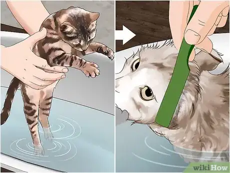 Image titled Make a Flea Trap Step 10