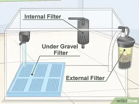 Image titled Set up a Coldwater Aquarium Step 4