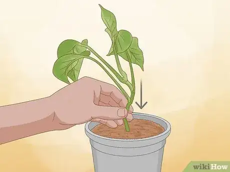 Image titled Propagate Your Plants Step 9