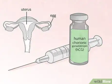 Image titled Increase Luteinizing Hormone Step 3