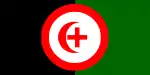 "An Arab From Haifa"'s Proposal 10 (1929)