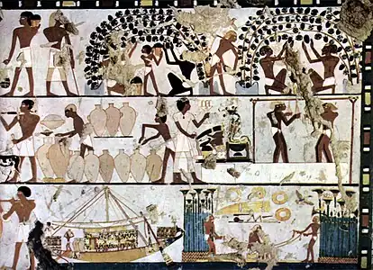 Image 18Grape cultivation, winemaking, and commerce in ancient Egypt c. 1500 BC (from History of wine)