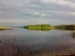 A large lake with trees on the far shore