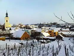 General view of Čejkovice