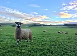 Horton in Ribblesdale