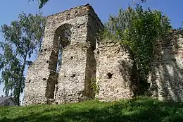 Image 6An abandoned Calvinist church in Łapczyna Wola, Poland (from Calvinism)