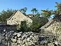 Dilapidated barns