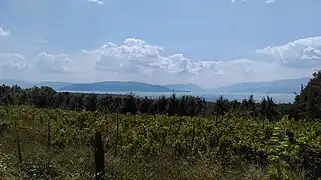 Fields of Štrbovo and Lake Prespa in background