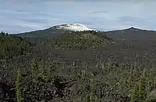 Small patches of forest stand before the Belknap shield volcano, which lies in the background.