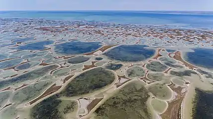 Dzharylhak National Nature Park, Kherson Oblast