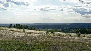 Typical view of steppe in Divnogorye