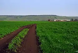 Landscape in Yemelyanovsky District