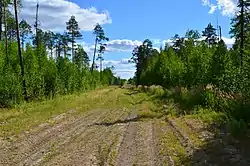 Road to a quarry, Nefteyugansky District