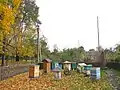 Apiary named after P.I. Prokopovich.