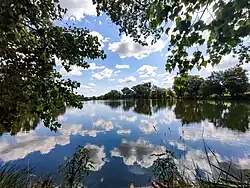 Pond in Krohulets