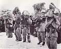 Kukeri masks from Pernik, near Sofia