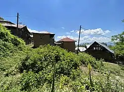 Houses in the village