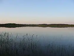 Lake Suoyarvi in Suoyarvsky District