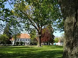 Yasnaya Polyana park