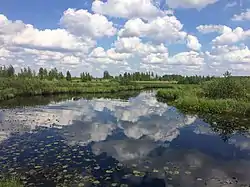 Polistovsky Nature Reserve, Loknyansky District