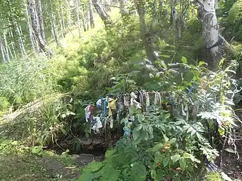 A spring at the bottom of the ravine. "Wedding" tree