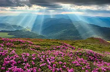 Carpathian Biosphere Reserve