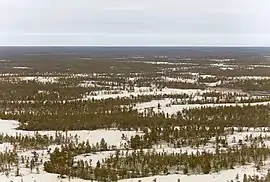 Tukulan "sand dunes", Vilyuysky District