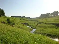 Landscape in Sabinsky District