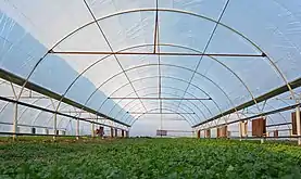 Greenhouse