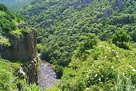 Jermuk Forest Sanctuary