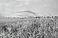 Moshav Merhavia 1947