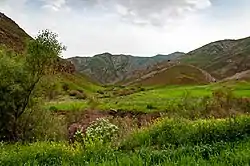 Landscape near Spa Waterfall