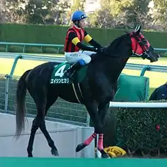 A Shin Hikari (2011)