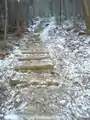 Steep stairway leading from Kuruno Pass up the mountain.