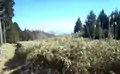 A trail through a field of bamboo grass near the summit of Mount Naka Katsuragi.