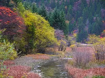 Arrow Bamboo Lake