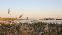 Juyan Lake Wetland Park