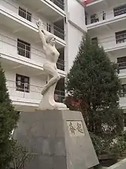 'Rise' Yingshan Vocational School