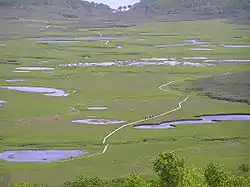 Uryunuma Wetland