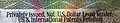 "Privately Issued, Not U.S. Dollar Legal Tender. US & International Patents Pending" text found on a common Goldback in the "One" denomination