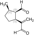 (1R,2R,5S)-Stereoisomer (D')